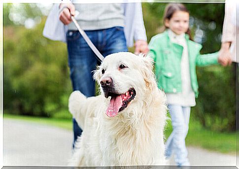 10 things your dog does for you