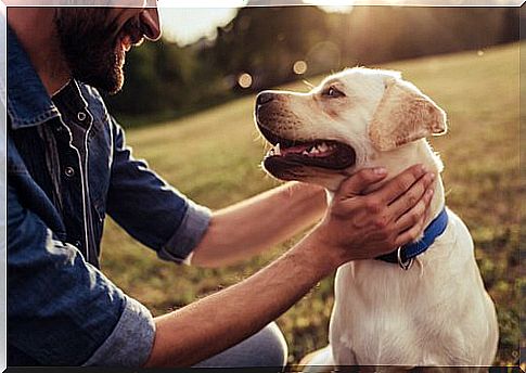 man petting his dog