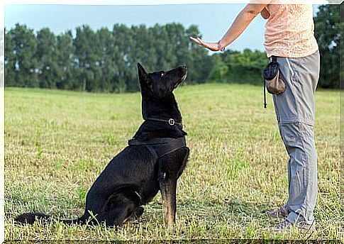 Dog being told to be quiet