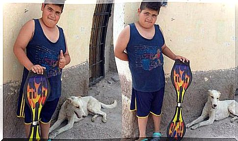 A child sells his scooter to buy medicine for a stray dog