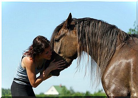 woman and horse