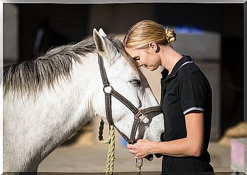 trainer with horse