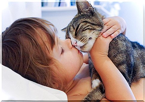 child kissing cat