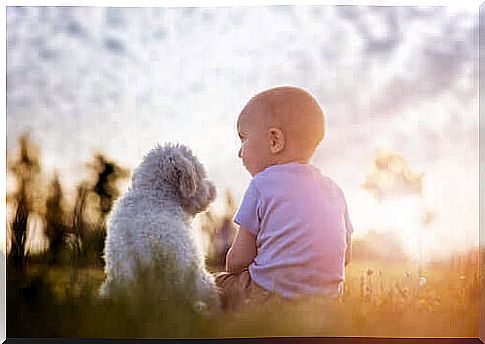 dog sitting with baby