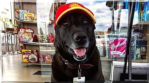 Negão, the best employee at the gas station