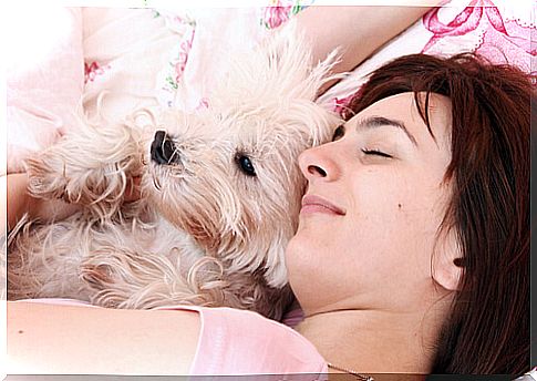 dog sleeping with woman