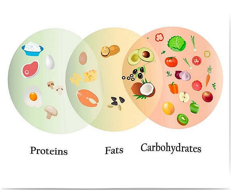 Proteins, Fats and Carbohydrates