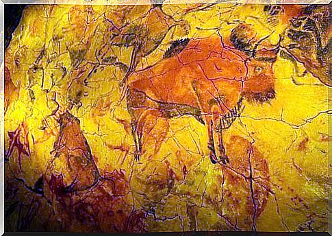 The animals represented in the cave of Altamira