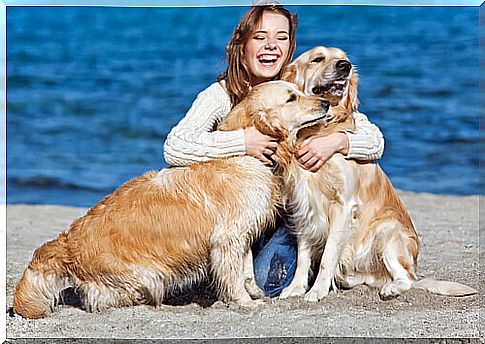 happiness beside dogs