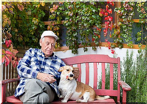 elderly-with-dogs