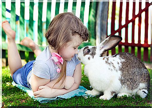 The relationship between children and pets