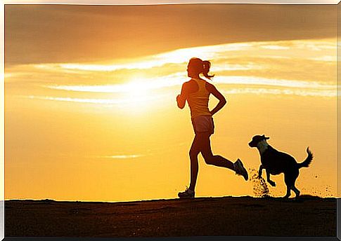 Advice to start running with your dog