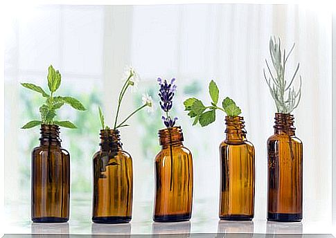 Use of essential oils in pets