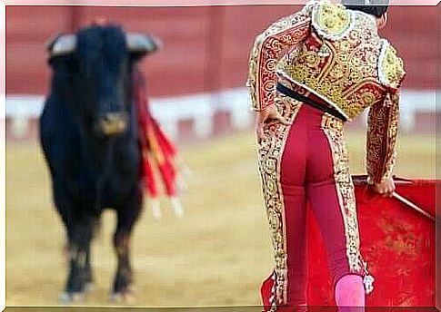 bullfights in Spain