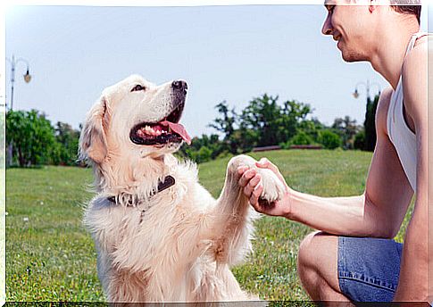 Your dog can tell whether you are happy or angry